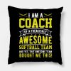 Im A Coach Of An Awesome Softball Team Funny Softb Throw Pillow Official Softball Merch