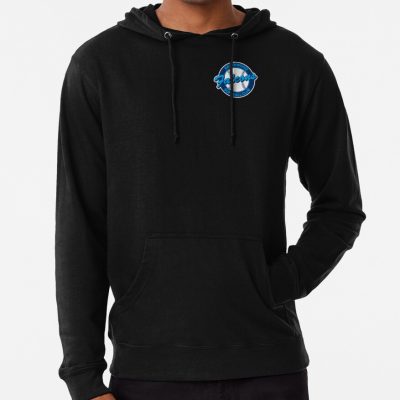 Northwood Falcons Softball Club Logo Hoodie Official Softball Merch